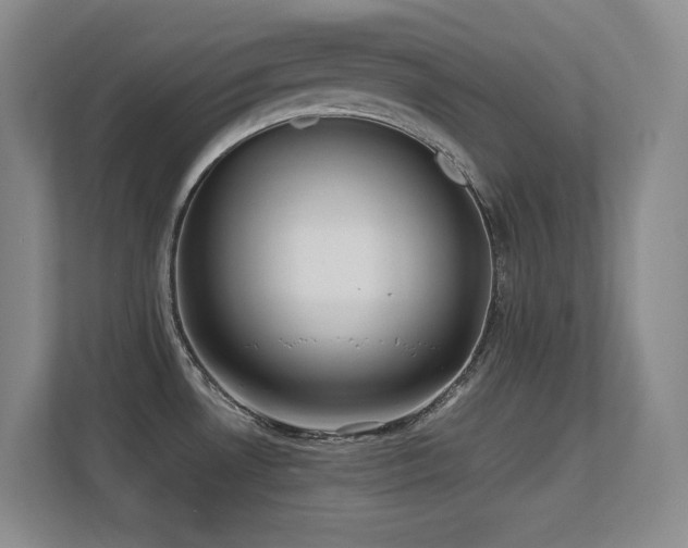 X0000113211530200909101122