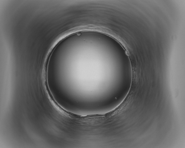 X0000113211531200909101122