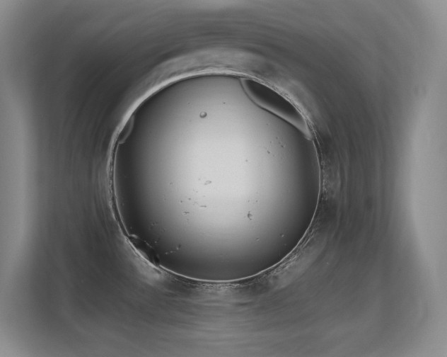 X0000113211532200909101122
