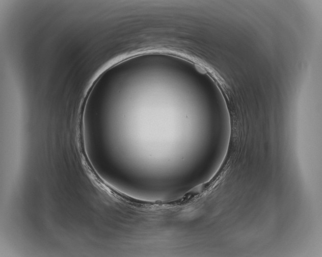 X0000113211534200909101122