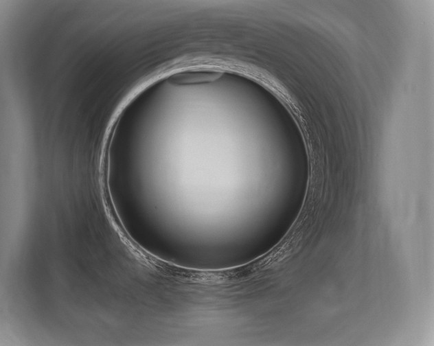 X0000113211536200909101122