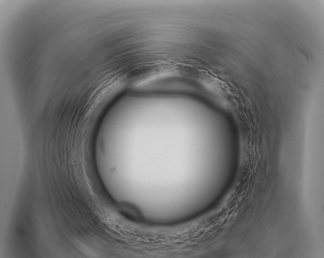 X0000113210001200909171544