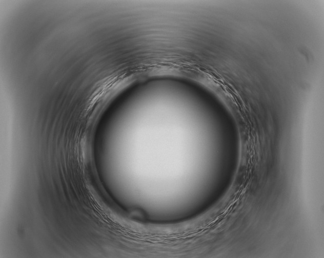 X0000113210002200909171544