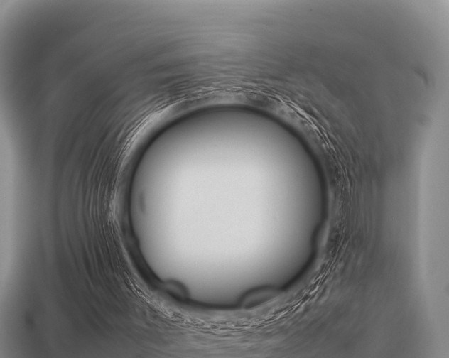 X0000113210003200909171544