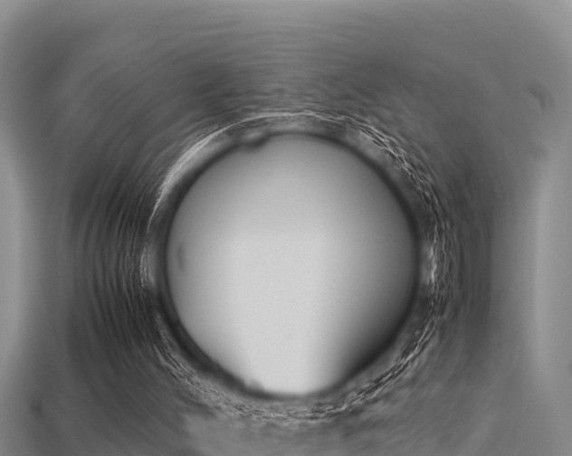 X0000113210004200909171544