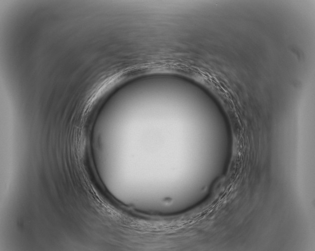 X0000113210005200909171544