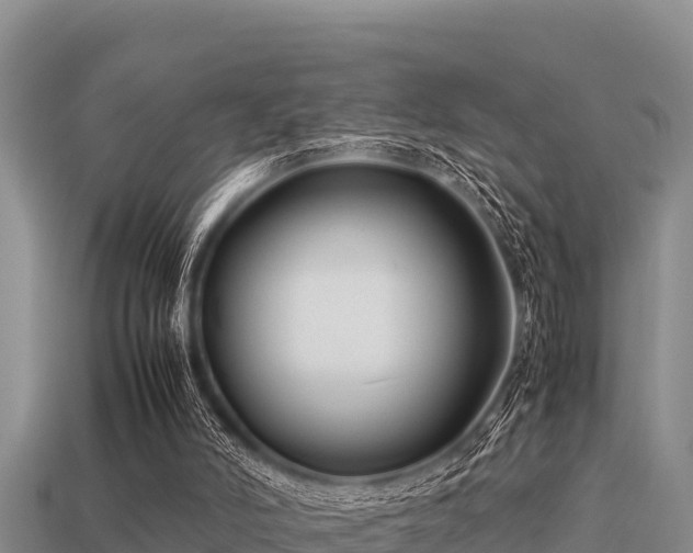 X0000113210006200909171544