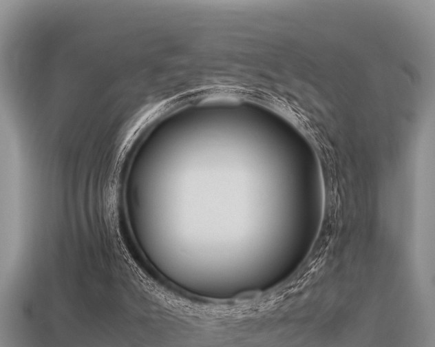 X0000113210007200909171544