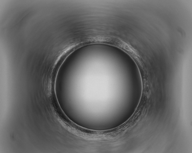 X0000113210012200909171544