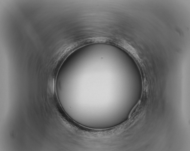 X0000113210013200909171544