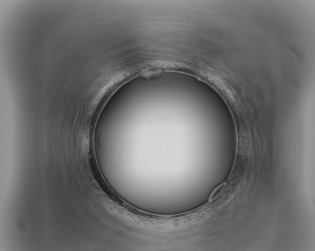 X0000113210015200909171543