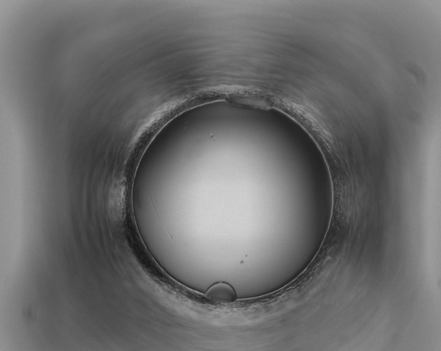 X0000113210016200909171543