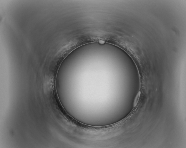 X0000113210017200909171543