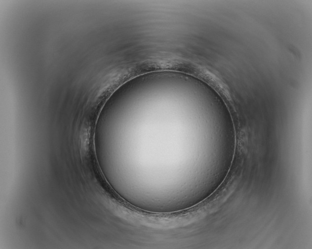 X0000113210018200909171543