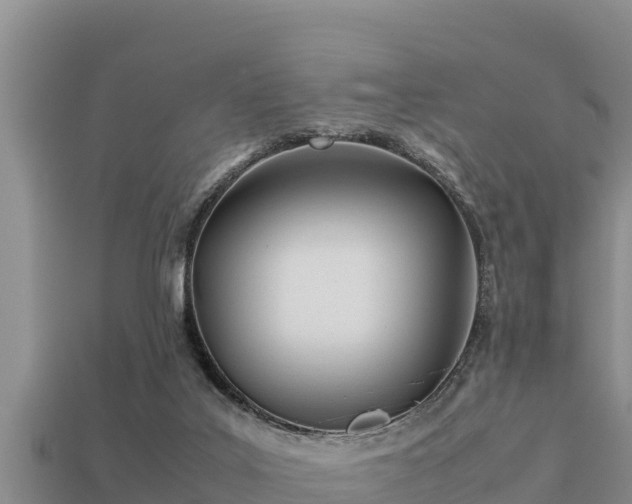 X0000113210019200909171543