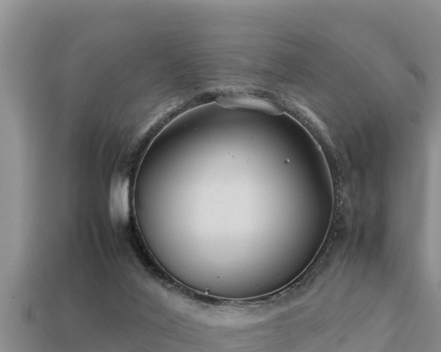 X0000113210020200909171543