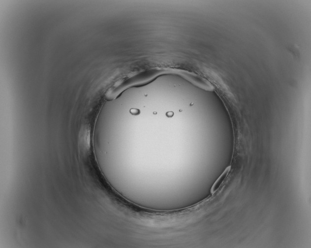 X0000113210021200909171543