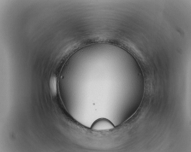 X0000113210022200909171543