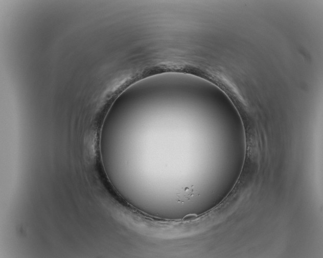 X0000113210023200909171543