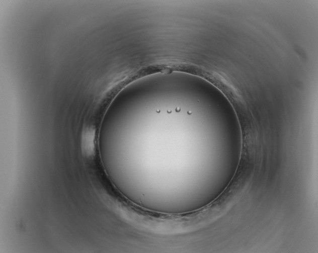 X0000113210024200909171543