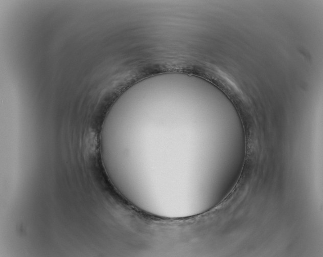 X0000113210025200909171543