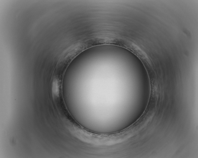 X0000113210026200909171543