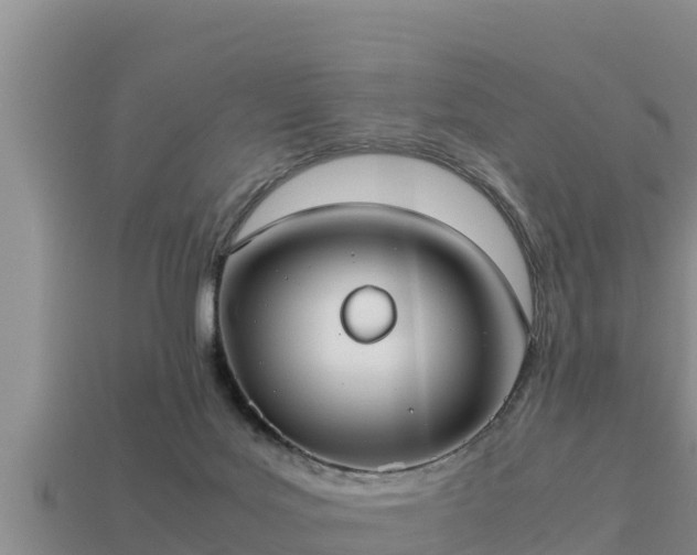 X0000113210027200909171543