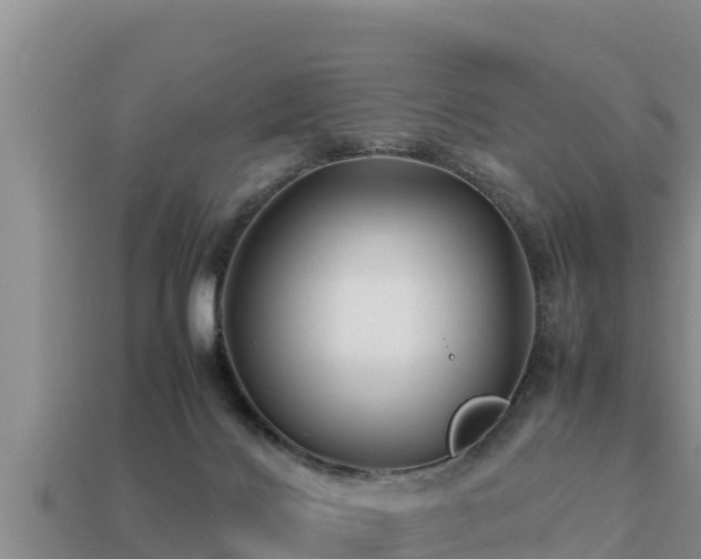 X0000113210028200909171543