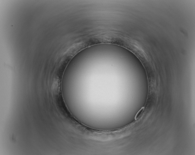 X0000113210029200909171543