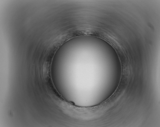 X0000113210030200909171543