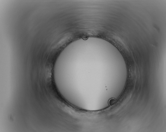 X0000113210032200909171543