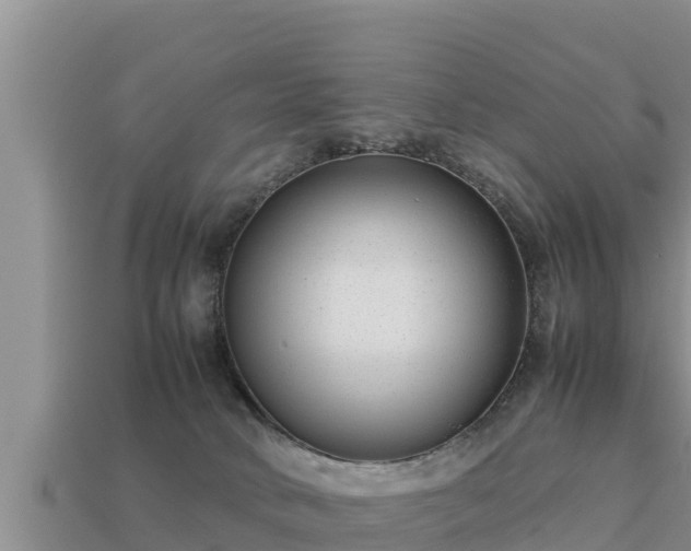 X0000113210034200909171543