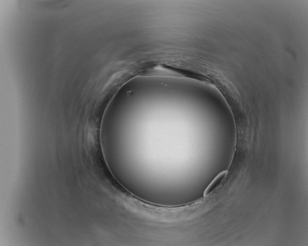 X0000113210035200909171543