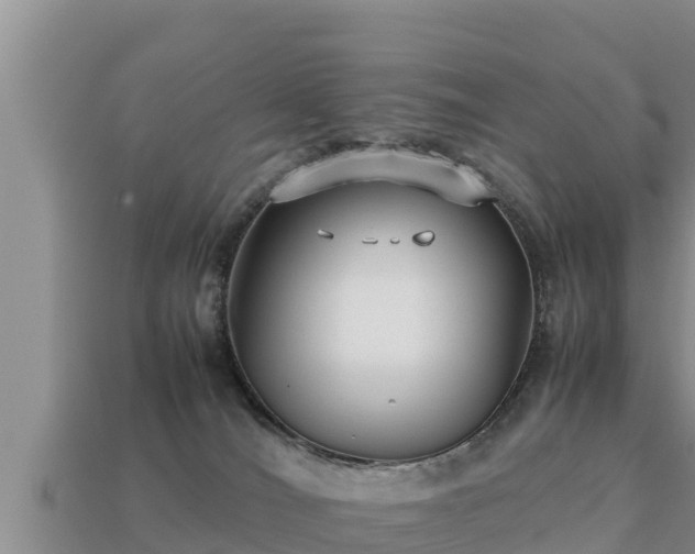 X0000113210036200909171543