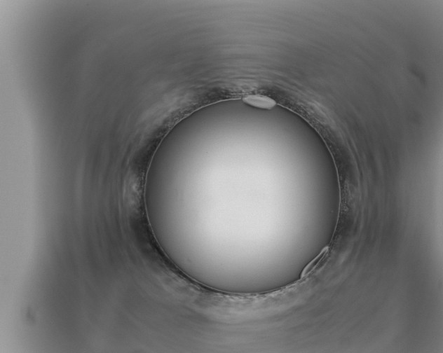 X0000113210037200909171543