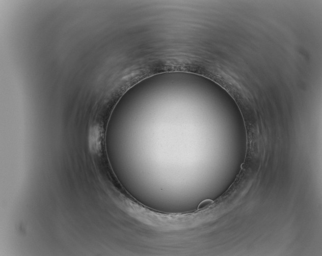 X0000113210038200909171543