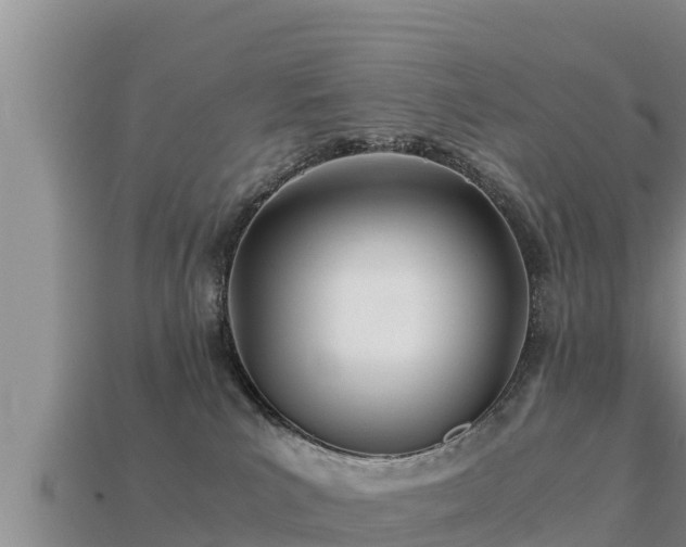 X0000113210039200909171543