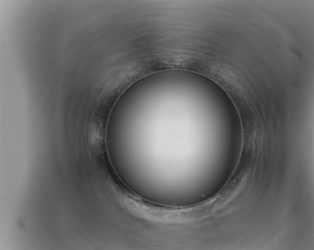 X0000113210040200909171543