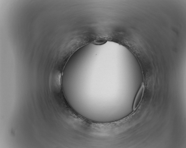 X0000113210041200909171543