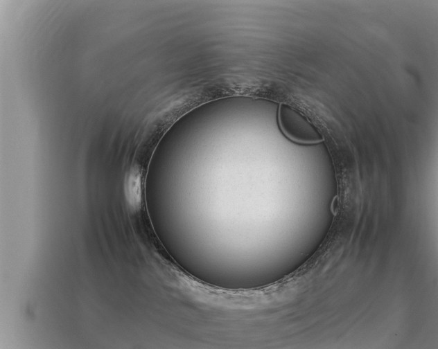 X0000113210042200909171543