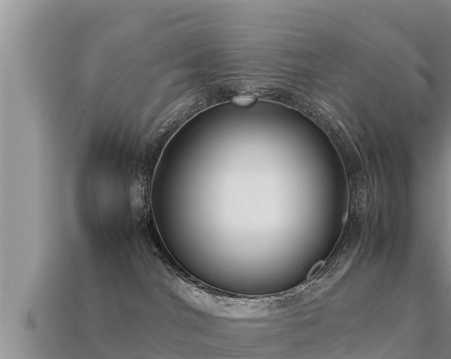 X0000113210044200909171543