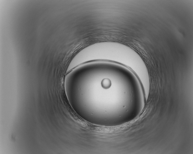 X0000113210045200909171543