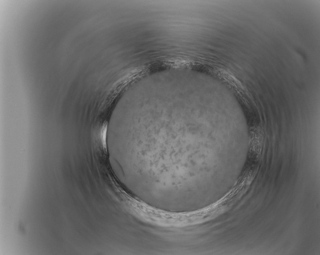 X0000113210047200909171543