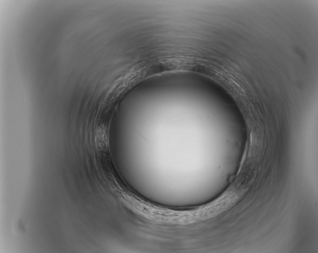 X0000113210048200909171543