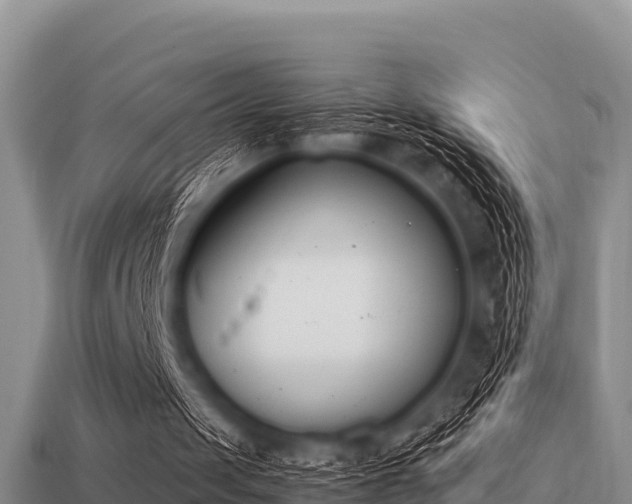 X0000113210049200909171542