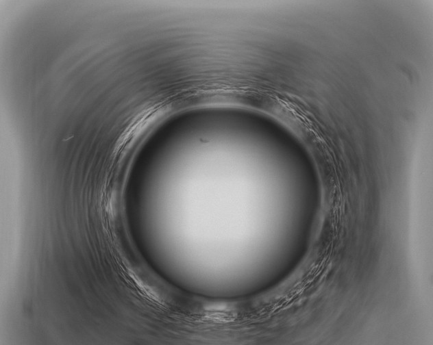 X0000113210050200909171542