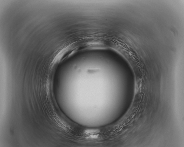 X0000113210051200909171542