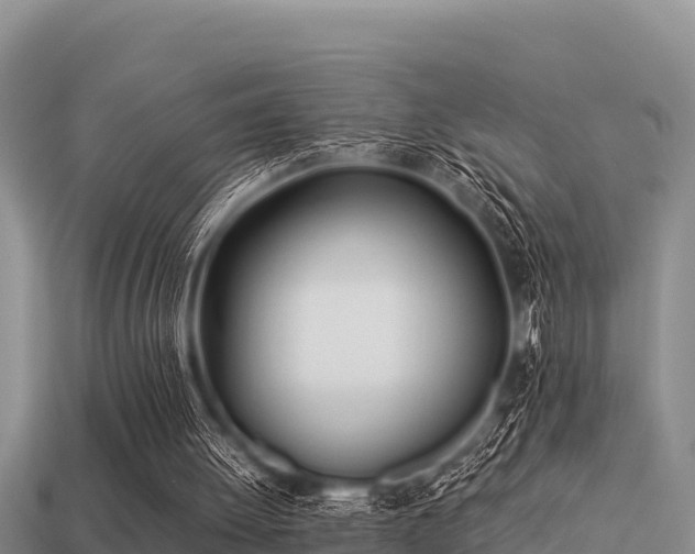 X0000113210052200909171542