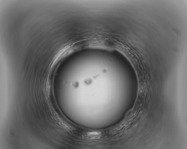 X0000113210053200909171543