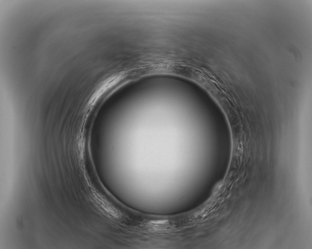 X0000113210054200909171543